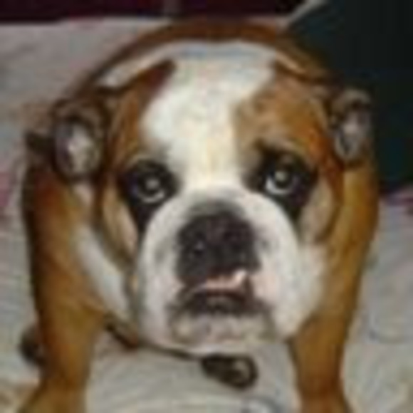 Meet your Posher, Helen - Picture 1 of 1